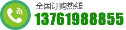 13761988855